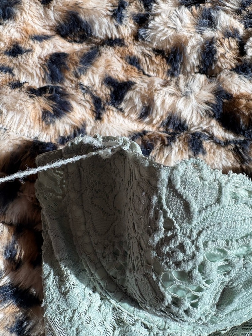 Victoria's Secret Lace Balconette Bra and Bikini Set in Sage - Picture 6 of 9